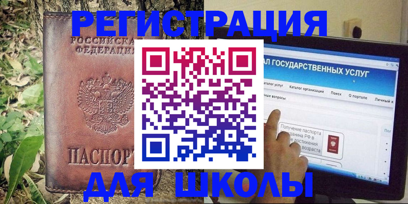 прописка для школы в Суворове